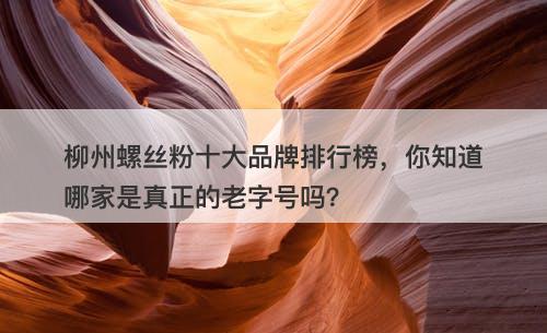 柳州螺丝粉十大品牌排行榜，你知道哪家是真正的老字号吗？
