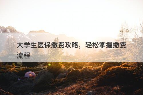 大学生医保缴费攻略，轻松掌握缴费流程