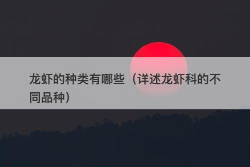 龙虾的种类有哪些（详述龙虾科的不同品种）-图1