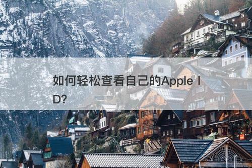 如何轻松查看自己的Apple ID？