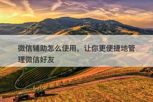 微信辅助怎么使用,让你更便捷地管理微信好友