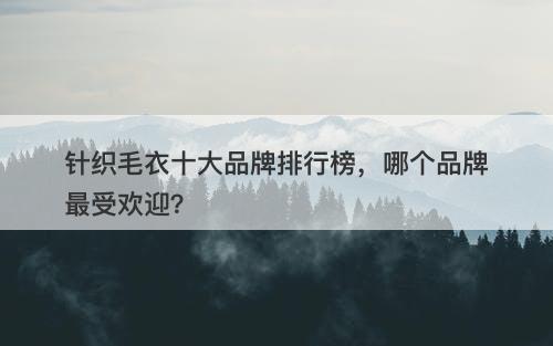 针织毛衣十大品牌排行榜，哪个品牌最受欢迎？