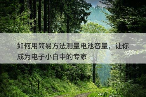如何用简易方法测量电池容量，让你成为电子小白中的专家