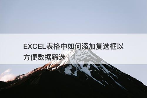 EXCEL表格中如何添加复选框以方便数据筛选