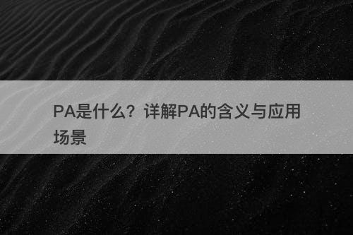 PA是什么？详解PA的含义与应用场景