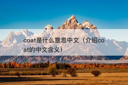 coat是什么意思中文(介绍coat的中文含义)