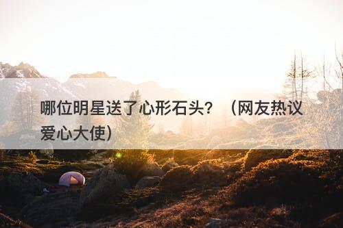 哪位明星送了心形石头?(网友热议爱心大使)