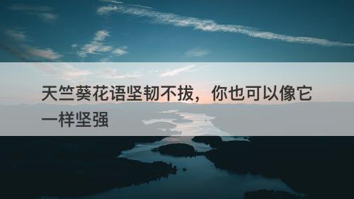 天竺葵花语坚韧不拔,你也可以像它一样坚强