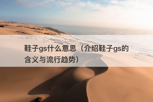 鞋子gs什么意思(介绍鞋子gs的含义与流行趋势)