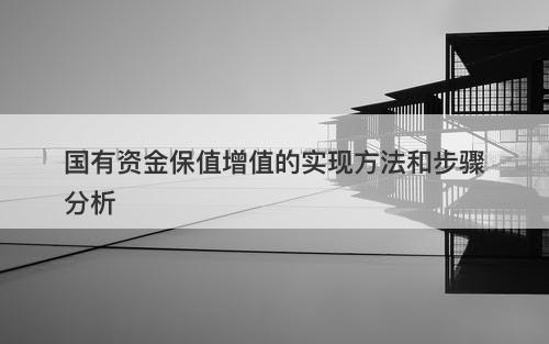 国有资金保值增值的实现方法和步骤分析