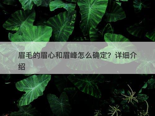 眉毛的眉心和眉峰怎么确定？详细介绍