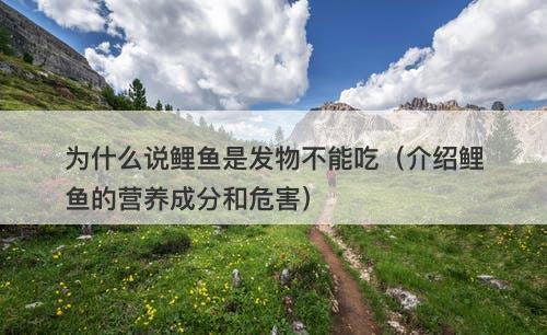 为什么说鲤鱼是发物不能吃(介绍鲤鱼的营养成分和危害)