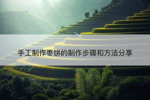 手工制作枣饼的制作步骤和方法分享