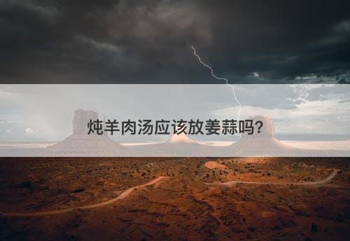 炖羊肉汤应该放姜蒜吗?