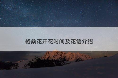 格桑花开花时间及花语介绍