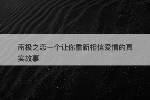南极之恋一个让你重新相信爱情的真实故事