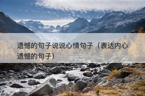 遗憾的句子说说心情句子（表达内心遗憾的句子）