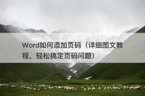 Word如何添加页码（详细图文教程，轻松搞定页码问题）