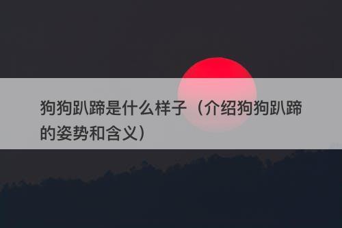 狗狗趴蹄是什么样子（介绍狗狗趴蹄的姿势和含义）