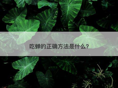 吃蝉的正确方法是什么？