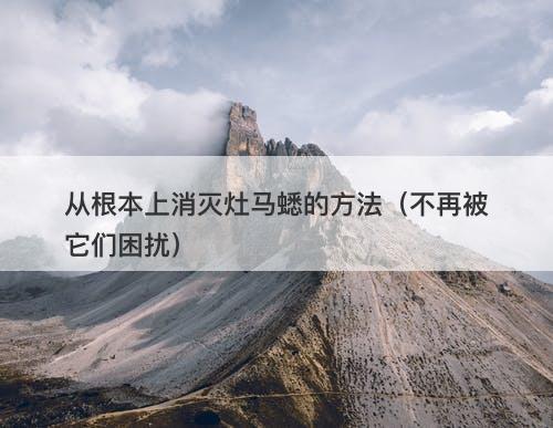 从根本上消灭灶马蟋的方法（不再被它们困扰）