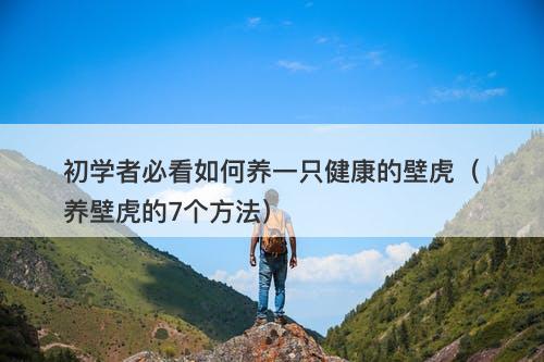 初学者必看如何养一只健康的壁虎（养壁虎的7个方法）