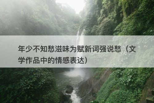 年少不知愁滋味为赋新词强说愁（文学作品中的情感表达）
