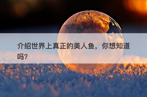 介绍世界上真正的美人鱼，你想知道吗？