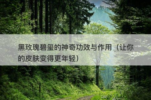 黑玫瑰碧玺的神奇功效与作用（让你的皮肤变得更年轻）