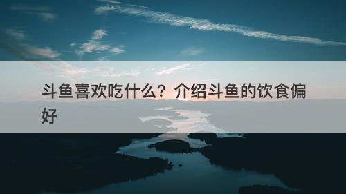 斗鱼喜欢吃什么？介绍斗鱼的饮食偏好