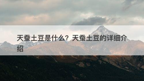 天蚕土豆是什么？天蚕土豆的详细介绍