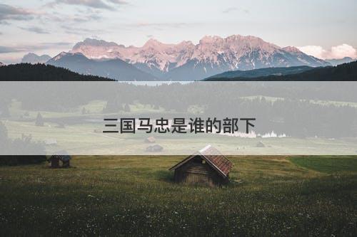 三国马忠是谁的部下