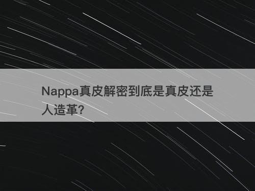 Nappa真皮解密到底是真皮还是人造革？