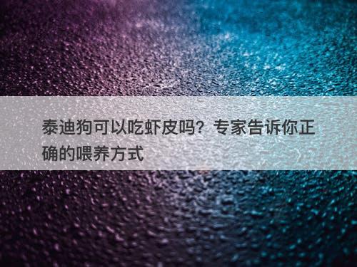 泰迪狗可以吃虾皮吗？专家告诉你正确的喂养方式