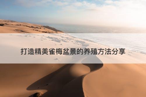 打造精美雀梅盆景的养殖方法分享-图1