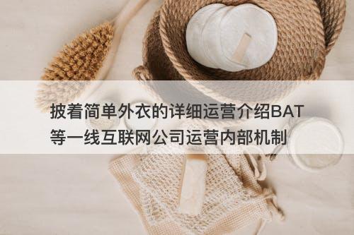 披着简单外衣的详细运营介绍BAT等一线互联网公司运营内部机制
