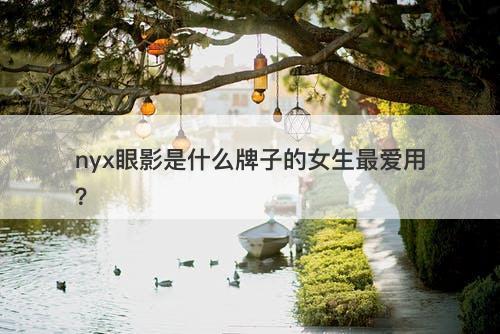 nyx眼影是什么牌子的女生最爱用？