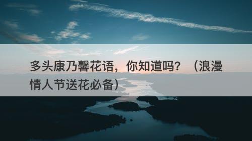 多头康乃馨花语,你知道吗?(浪漫情人节送花必备)