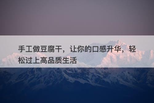 手工做豆腐干，让你的口感升华，轻松过上高品质生活