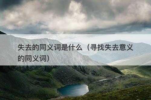 失去的同义词是什么（寻找失去意义的同义词）