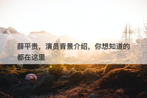 薛平贵，演员背景介绍，你想知道的都在这里