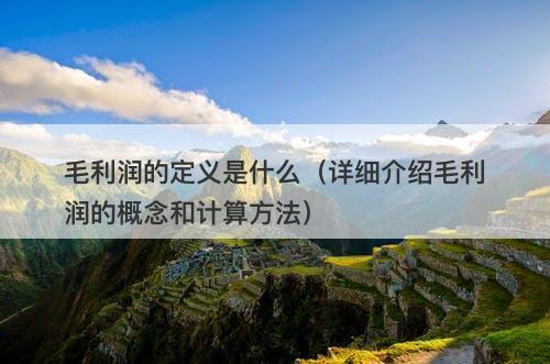 毛利润的定义是什么（详细介绍毛利润的概念和计算方法）