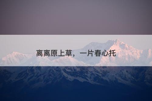 离离原上草，一片春心托