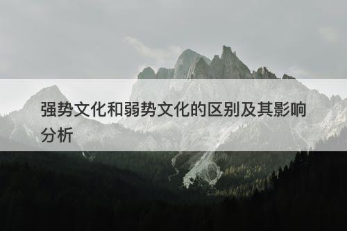 强势文化和弱势文化的区别及其影响分析
