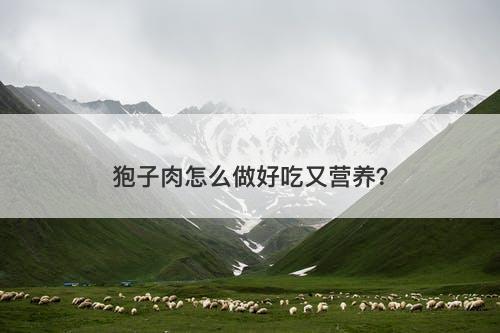 狍子肉怎么做好吃又营养?