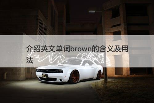介绍英文单词brown的含义及用法