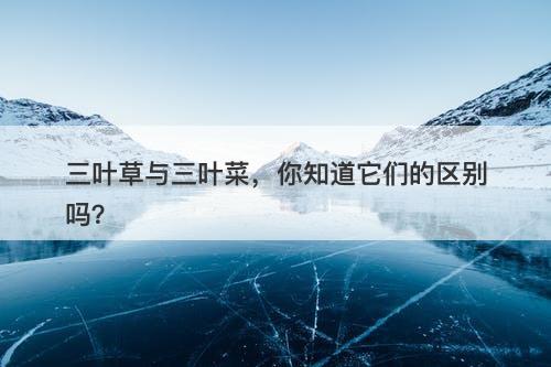 三叶草与三叶菜，你知道它们的区别吗？