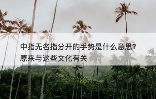 中指无名指分开的手势是什么意思？原来与这些文化有关