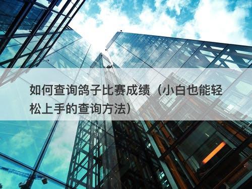 如何查询鸽子比赛成绩（小白也能轻松上手的查询方法）