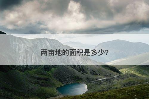 两亩地的面积是多少？